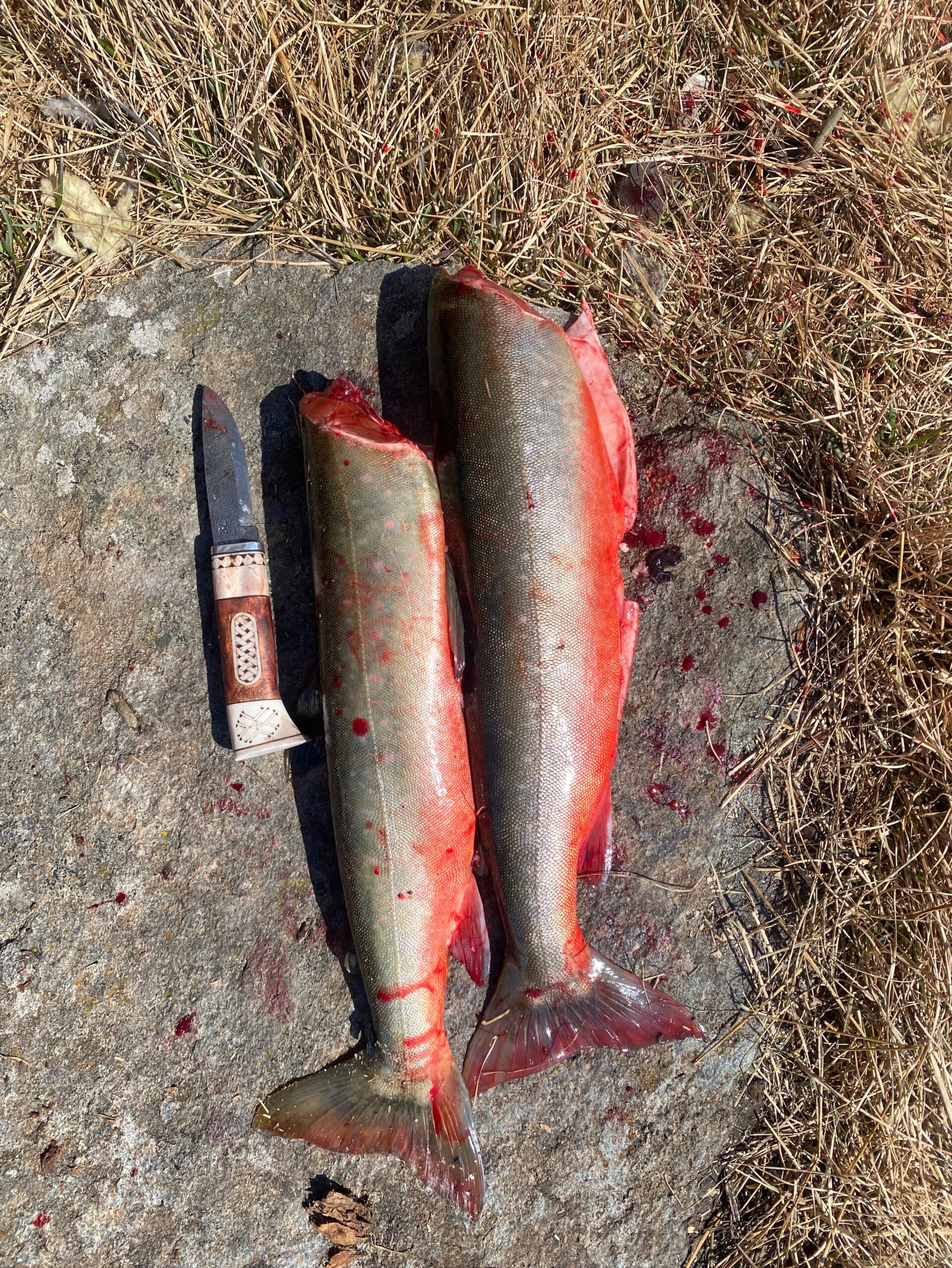 840c59bd 185d 4def 9043 e4c4743715fb